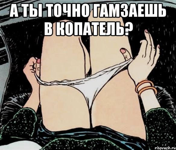 А ты точно гамзаешь в копатель? , Мем А ты точно