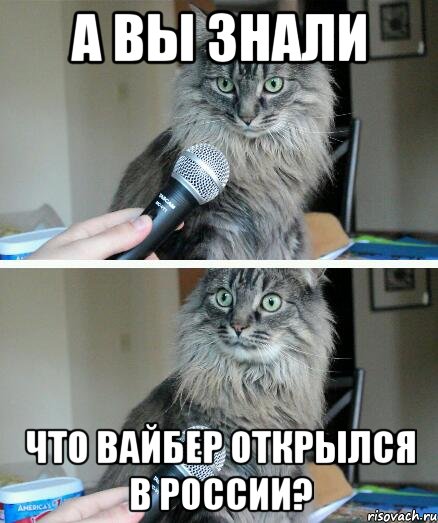 А вы знали Что Вайбер открылся в России?, Комикс  кот с микрофоном
