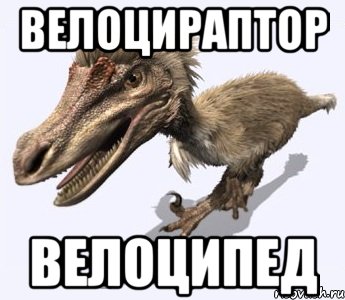 велоцираптор велоципед