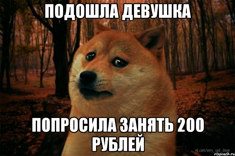 подошла девушка попросила занять 200 рублей, Мем SAD DOGE