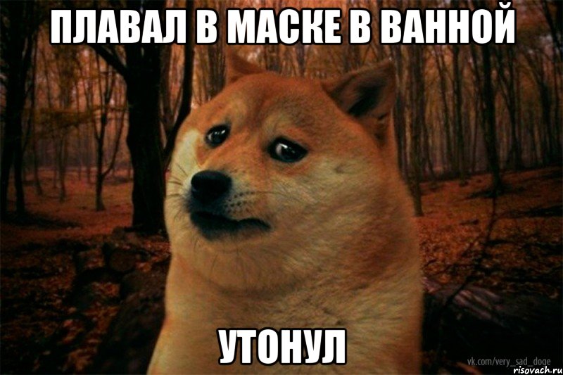 плавал в маске в ванной утонул, Мем SAD DOGE