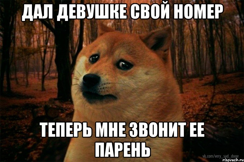 дал девушке свой номер теперь мне звонит ее парень, Мем SAD DOGE