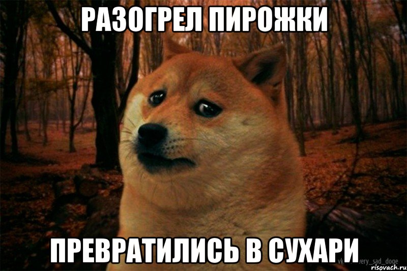 разогрел пирожки превратились в сухари, Мем SAD DOGE