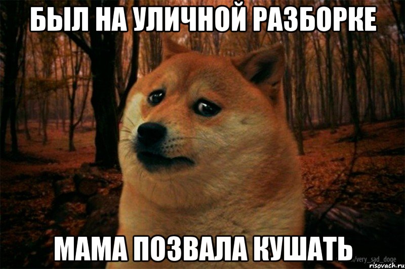 был на уличной разборке мама позвала кушать, Мем SAD DOGE