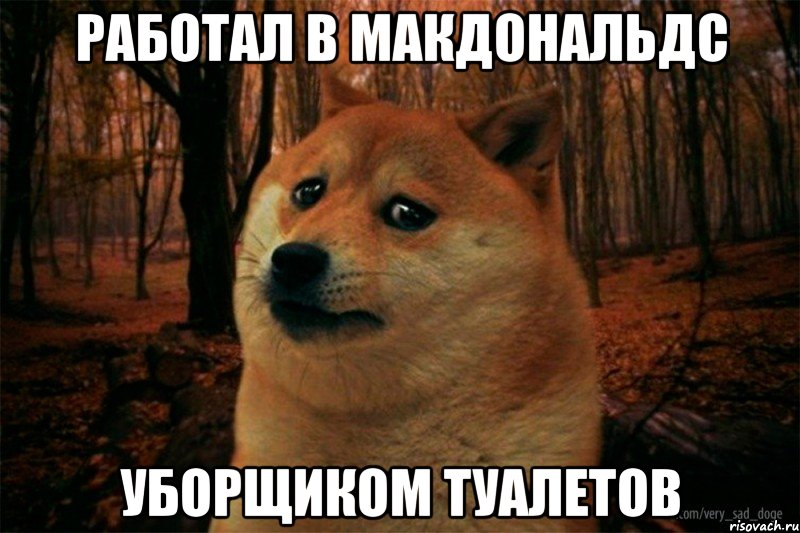 работал в Макдональдс уборщиком туалетов, Мем SAD DOGE