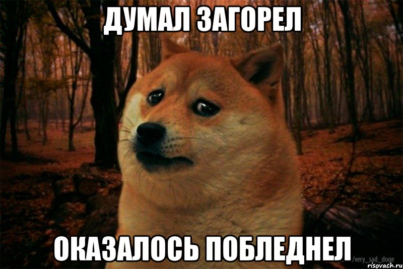 думал загорел оказалось побледнел, Мем SAD DOGE