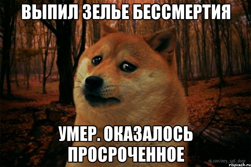 выпил зелье бессмертия умер. оказалось просроченное, Мем SAD DOGE