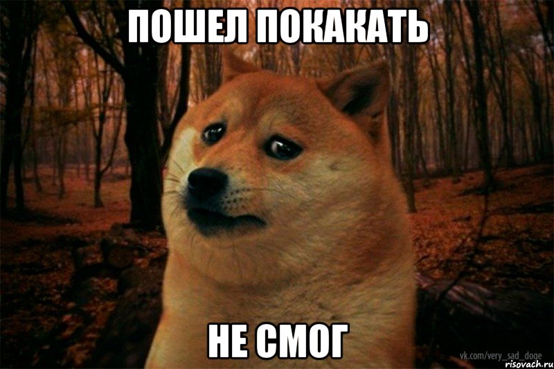 пошел покакать не смог, Мем SAD DOGE