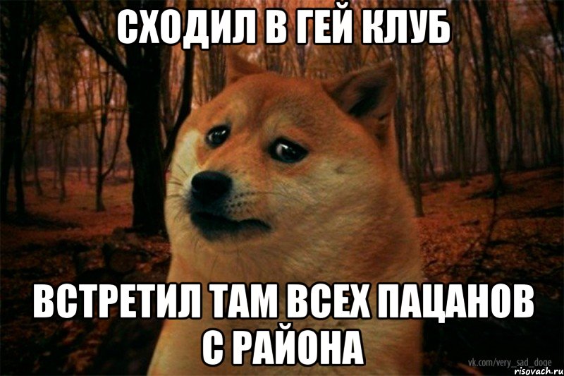 сходил в гей клуб встретил там всех пацанов с района, Мем SAD DOGE