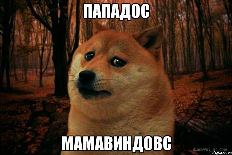 папаДОС мамаВИНДОВС, Мем SAD DOGE