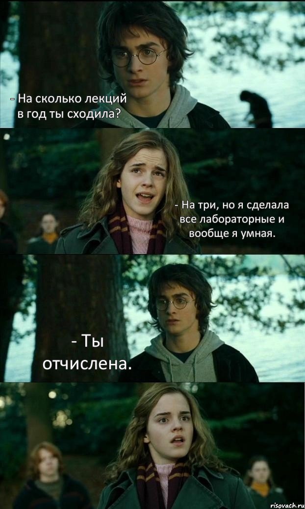 - На сколько лекций в год ты сходила? - На три, но я сделала все лабораторные и вообще я умная. - Ты отчислена. , Комикс Разговор Гарри с Гермионой