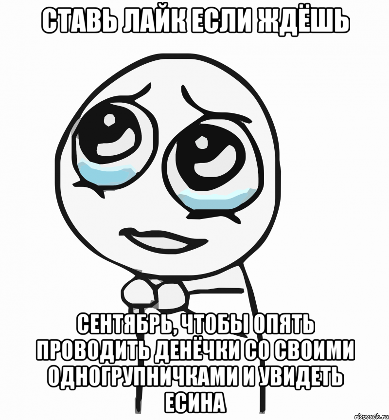 СТАВЬ ЛАЙК ЕСЛИ ЖДЁШЬ СЕНТЯБРЬ, ЧТОБЫ ОПЯТЬ ПРОВОДИТЬ ДЕНЁЧКИ СО СВОИМИ ОДНОГРУПНИЧКАМИ И УВИДЕТЬ ЕСИНА, Мем  ну пожалуйста (please)