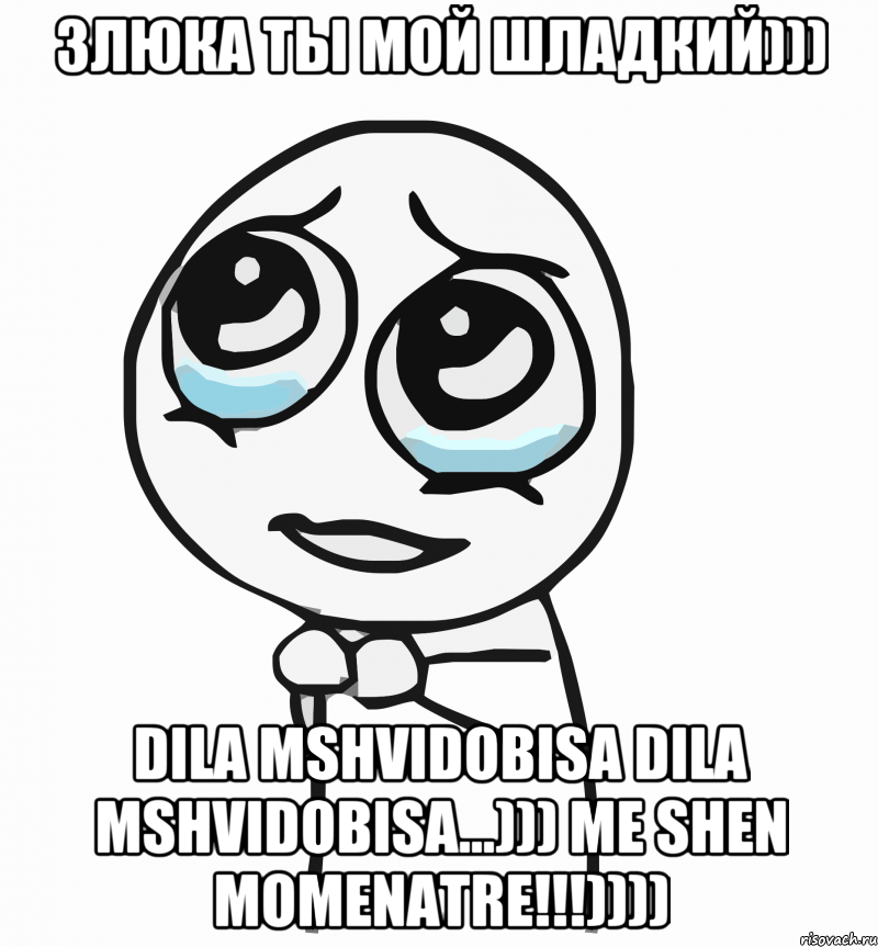 Злюка ты мой шладкий))) dila mshvidobisa dila mshvidobisa...))) me shen momenatre!!!)))), Мем  ну пожалуйста (please)