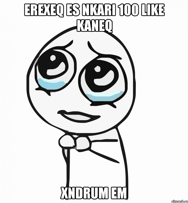 erexeq es nkari 100 like kaneq xndrum em, Мем  ну пожалуйста (please)