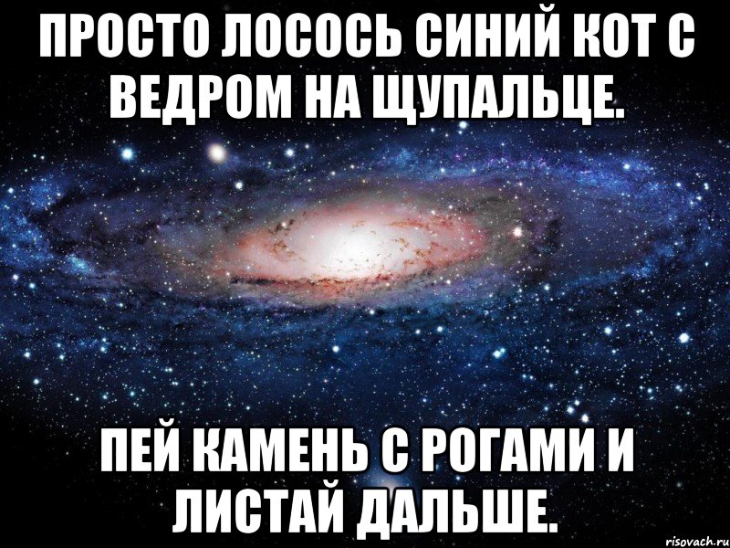 Просто лосось синий кот с ведром на щупальце. Пей камень с рогами и листай дальше., Мем Вселенная