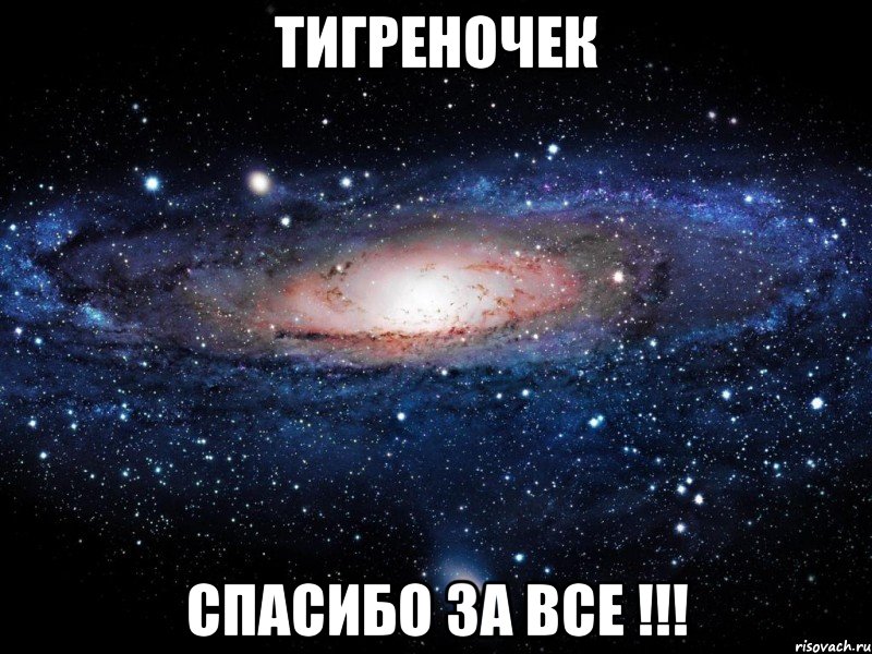 Тигреночек Спасибо за все !!!, Мем Вселенная