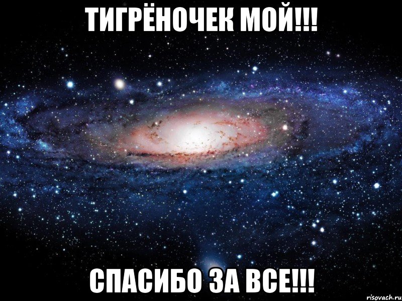 Тигрёночек мой!!! Спасибо за все!!!, Мем Вселенная