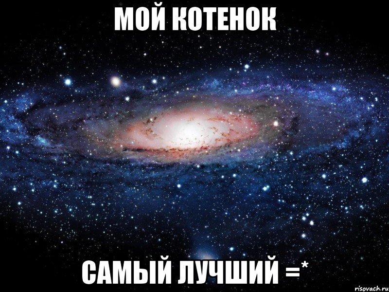 Мой котенок самый лучший =*, Мем Вселенная