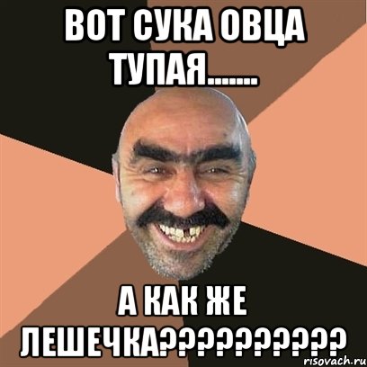 ВОТ СУКА ОВЦА ТУПАЯ....... А КАК ЖЕ ЛЕШЕЧКА??????????, Мем Я твой дом труба шатал