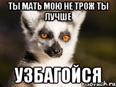 ТЫ мать мою не трож ты лучше УЗБАГОЙСЯ, Мем Я збагоен