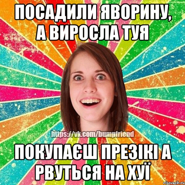 посадили яворину, а виросла туя покупаєш презікі а рвуться на хуї, Мем Йобнута Подруга ЙоП