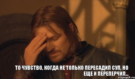 То чувство, когда не только пересадил суп, но еще и переперчил..., Мем Закрывает лицо