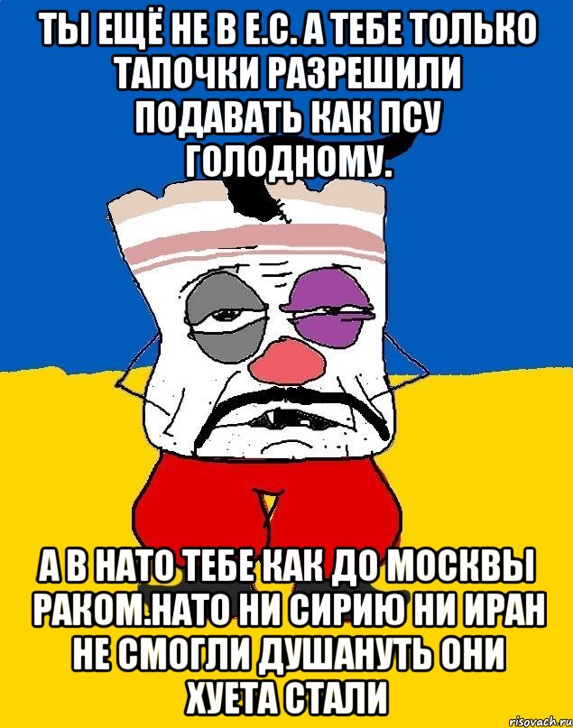 Ты ещё не в е.с. а тебе только тапочки разрешили подавать как псу голодному. А в нато тебе как до москвы раком.нато ни сирию ни иран не смогли душануть они хуета стали, Мем Западенец - тухлое сало