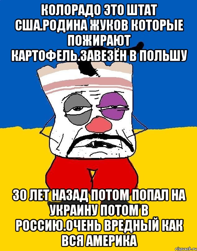 Колорадо это штат сша.родина жуков которые пожирают картофель.завезён в польшу 30 лет назад потом попал на украину потом в россию.очень вредный как вся америка, Мем Западенец - тухлое сало