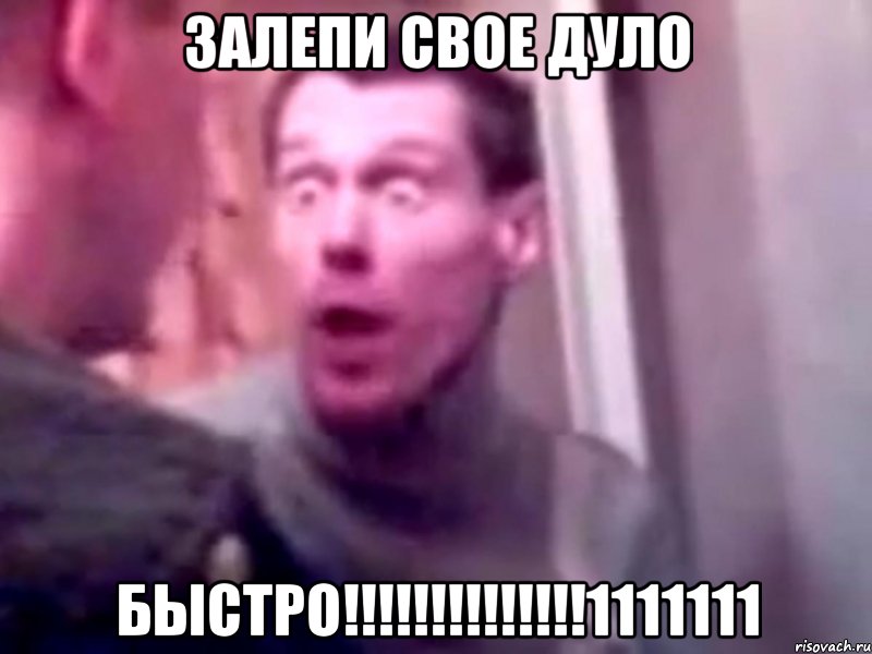 залепи свое дуло БЫСТРО!!!!!!!!!!!!!!1111111, Мем Запили