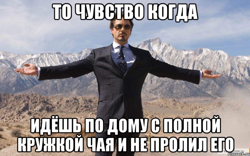 то чувство когда идёшь по дому с полной кружкой чая и не пролил его, Мем железный человек