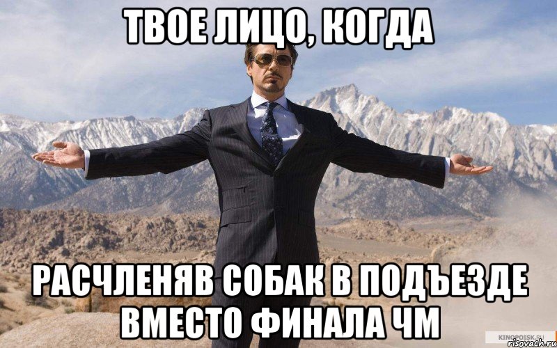 Твое лицо, когда Расчленяв собак в подъезде вместо финала ЧМ, Мем железный человек