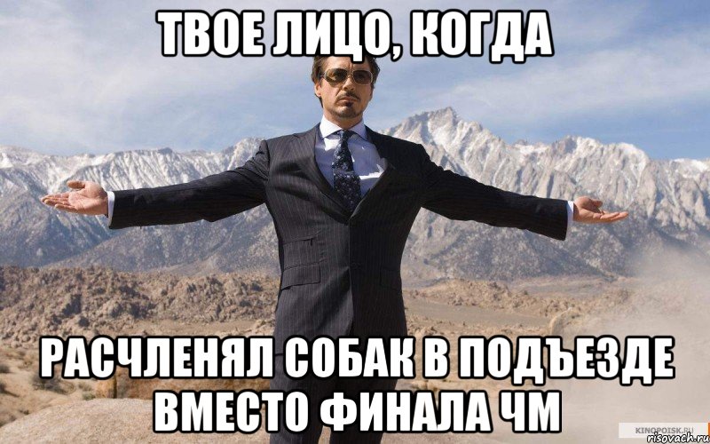 Твое лицо, когда Расчленял собак в подъезде вместо финала ЧМ, Мем железный человек