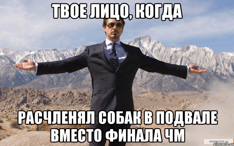 Твое лицо, когда Расчленял собак в подвале вместо финала ЧМ, Мем железный человек