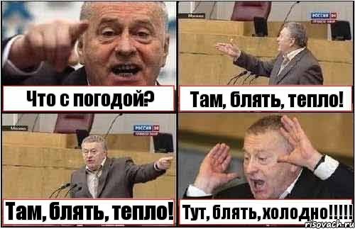 Что с погодой? Там, блять, тепло! Там, блять, тепло! Тут, блять, холодно!!!!!, Комикс жиреновский