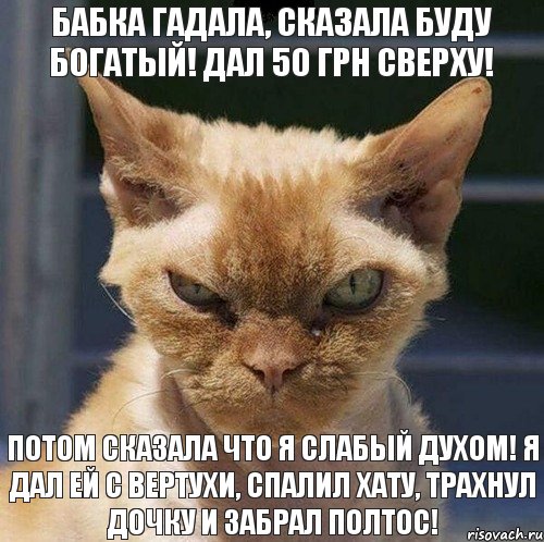 бабка гадала, сказала буду богатый! дал 50 грн сверху! потом сказала что я слабый духом! я дал ей с вертухи, спалил хату, трахнул дочку и забрал полтос!