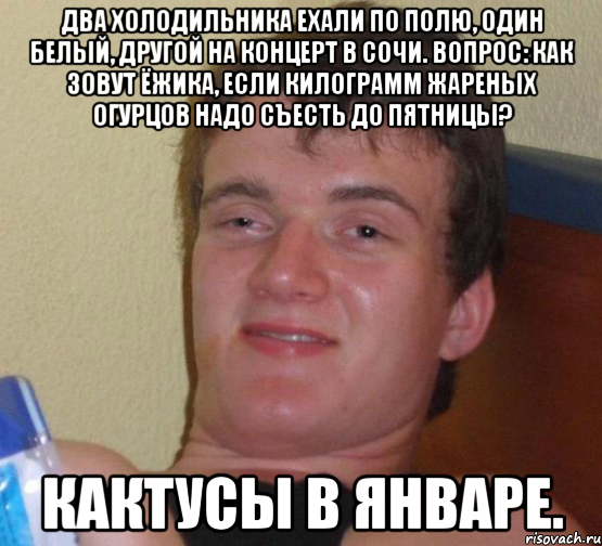 два холодильника ехали по полю, один белый, другой на концерт в сочи. вопрос: как зовут ёжика, если килограмм жареных огурцов надо съесть до пятницы? кактусы в январе., Мем 10 guy (Stoner Stanley really high guy укуренный парень)