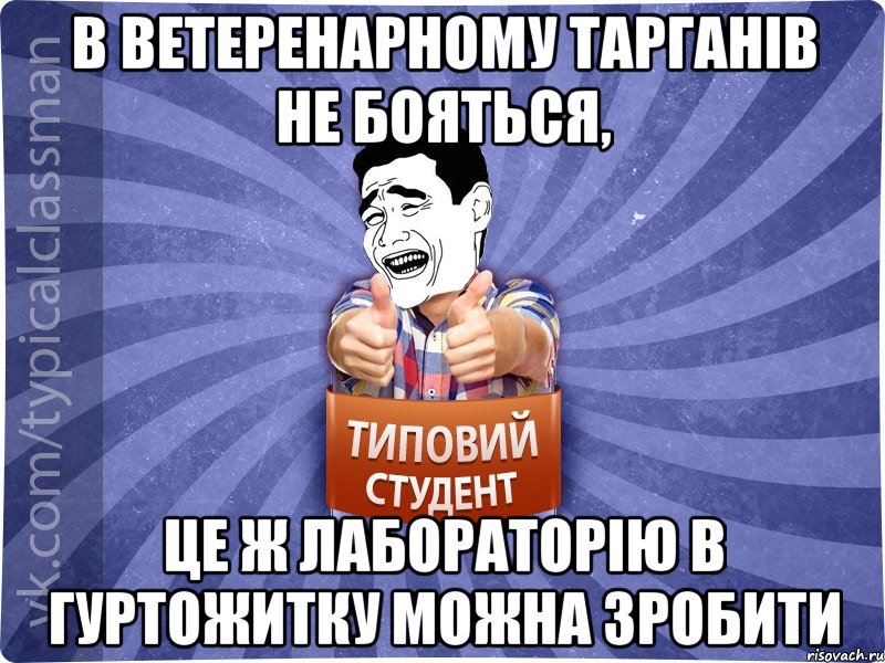 в ветеренарному тарганів не бояться, це ж лабораторію в гуртожитку можна зробити, Мем Типовий студент