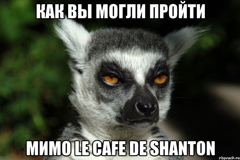 Как вы могли пройти мимо Le Cafe de shanton, Мем   Я збагоен