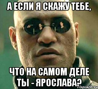 А если я скажу тебе, Что на самом деле ты - Ярослава?, Мем  а что если я скажу тебе