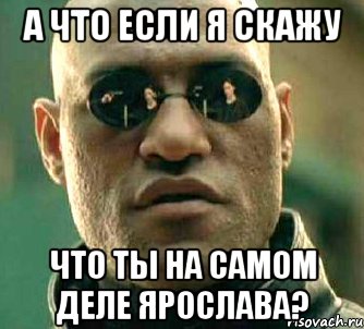 а что если я скажу что ты на самом деле Ярослава?, Мем  а что если я скажу тебе