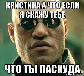 Кристина а что если я скажу тебе что ты паскуда, Мем  а что если я скажу тебе