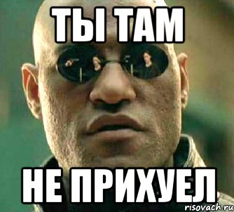 Ты там Не прихуел, Мем  а что если я скажу тебе