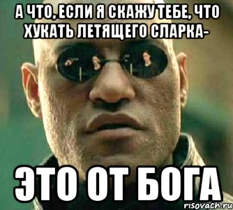 а что, если я скажу тебе, что хукать летящего сларка- это от бога, Мем  а что если я скажу тебе