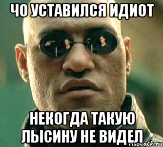 Чо уставился идиот Некогда такую лысину не видел, Мем  а что если я скажу тебе