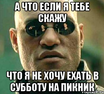 А что если я тебе скажу что я не хочу ехать в субботу на пикник, Мем  а что если я скажу тебе