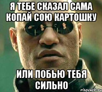 я тебе сказал сама копай сою картошку или побью тебя сильно, Мем  а что если я скажу тебе