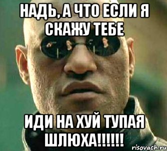 Надь, а что если я скажу тебе иди на хуй тупая шлюха!!!!!!, Мем  а что если я скажу тебе