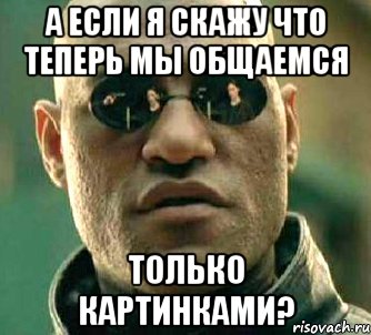 А если я скажу что теперь мы общаемся Только картинками?, Мем  а что если я скажу тебе