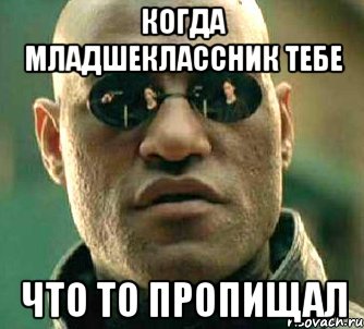 когда младшеклассник тебе что то пропищал, Мем  а что если я скажу тебе