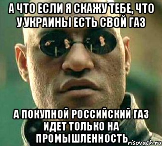 А что если я скажу тебе, что у Украины есть свой газ А покупной российский газ идет только на промышленность, Мем  а что если я скажу тебе